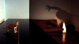 the tiger the lamp my Leica and me - Daniel Bartsch
